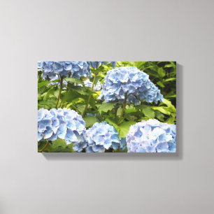 Deep Blue Hydrangeas Canvas Print