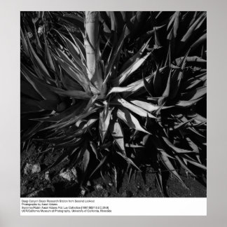 Deep Canyon Desert Research Station by Ansel Adams Poster