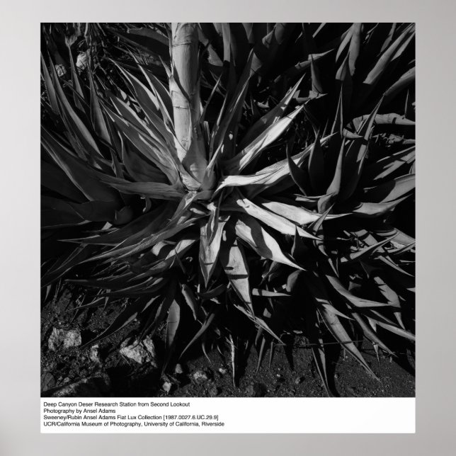 Deep Canyon Desert Research Station by Ansel Adams Poster (Front)