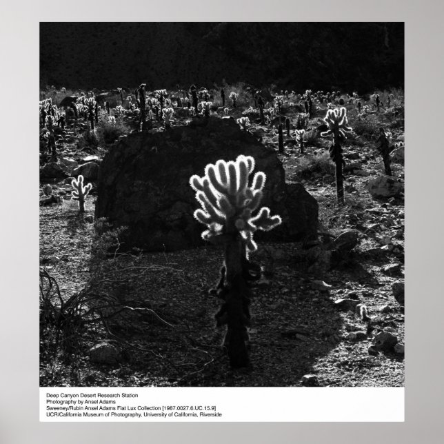 Deep Canyon Desert Research Station by Ansel Adams Poster (Front)