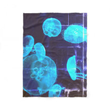 Deep Dive Buddha Today #2 Cosy Ocean