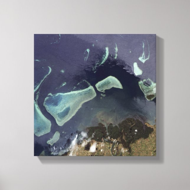 Deep green forest on land canvas print (Front)