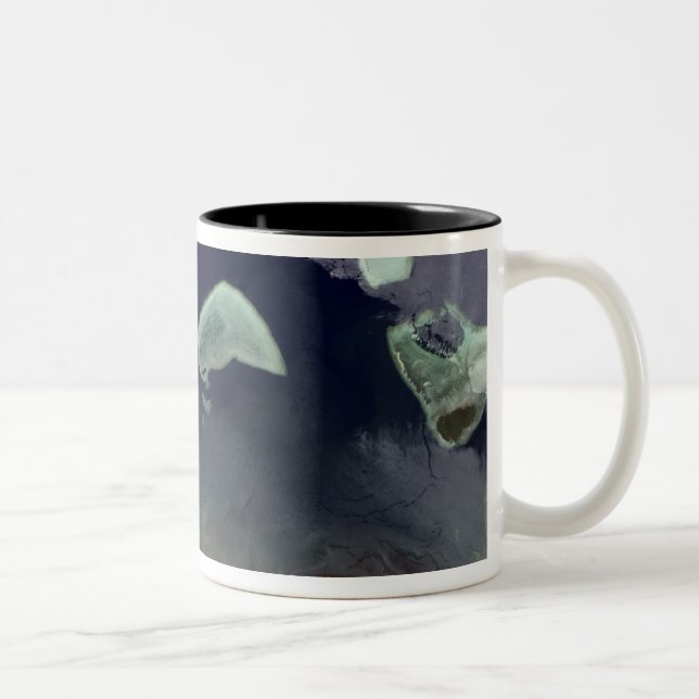 Deep green forest on land Two-Tone coffee mug (Right)
