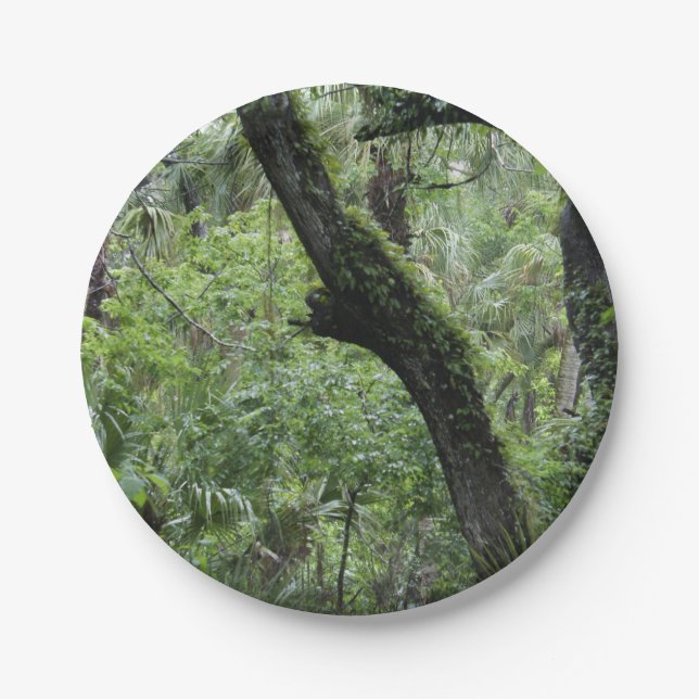 Deep Green Forest Paper Plate (Front)