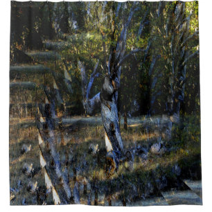 Deep in the Forest....... Shower Curtain