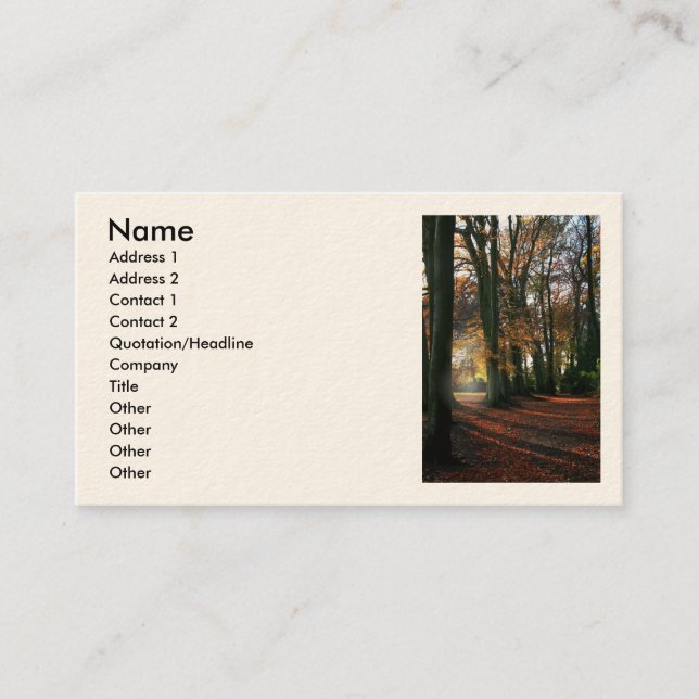 Deep In The Heart Business/Profile Cards (Front)