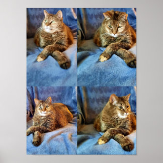 DEEP IN THOUGHT KITTY POSTER