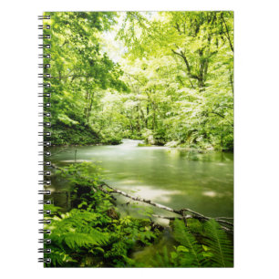 Deep Into the Forest Notebook