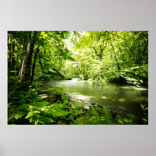 Deep Into the Forest Poster