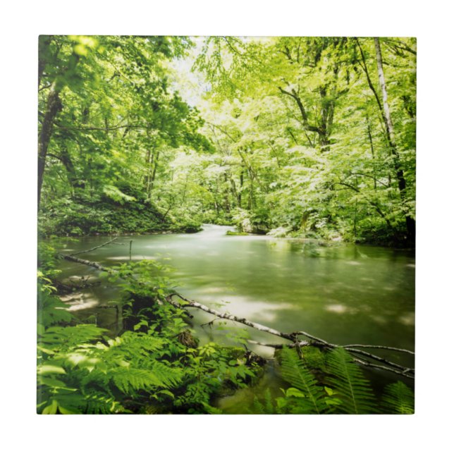 Deep Into the Forest Tile (Front)