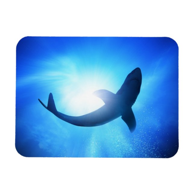 Deep Ocean Shark Silhouette Magnet (Horizontal)