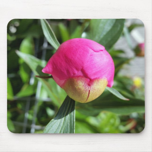 deep pink bud mouse pad (Front)