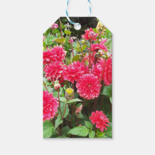 Deep Pink Dahlias Gift Tag