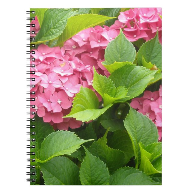 Deep Pink Hydrangeas Spiral Notebook (Front)