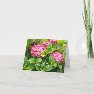 Deep Pink Hydrangeas Thank You Card