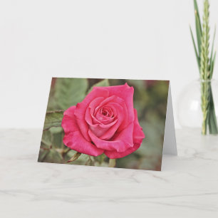 Deep Pink Rose Art Card