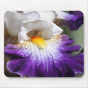 Deep Purple and White Iris Mousepad