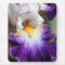 Deep Purple and White Iris Mousepad