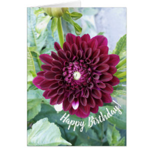 Deep Purple Dahlia Flower Birthday Card