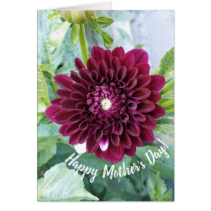 Deep Purple Dahlia Flower Mother's Day Card