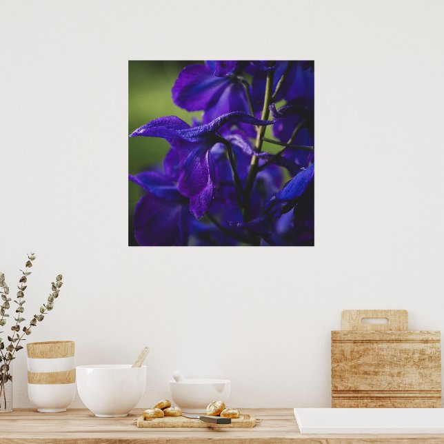 Deep Purple Delphinium Close Up Poster (Kitchen)