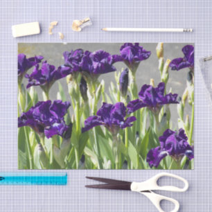 Deep Purple Irises Floral Tissue Paper