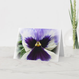 deep purple on white pansy card