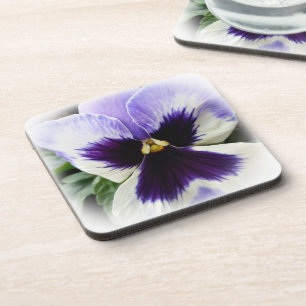 deep purple on white pansy coaster