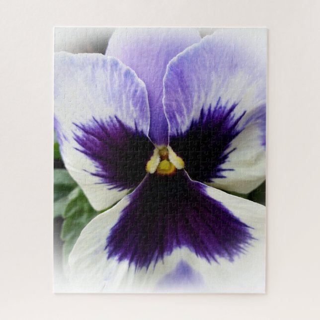 deep purple on white pansy jigsaw puzzle (Vertical)