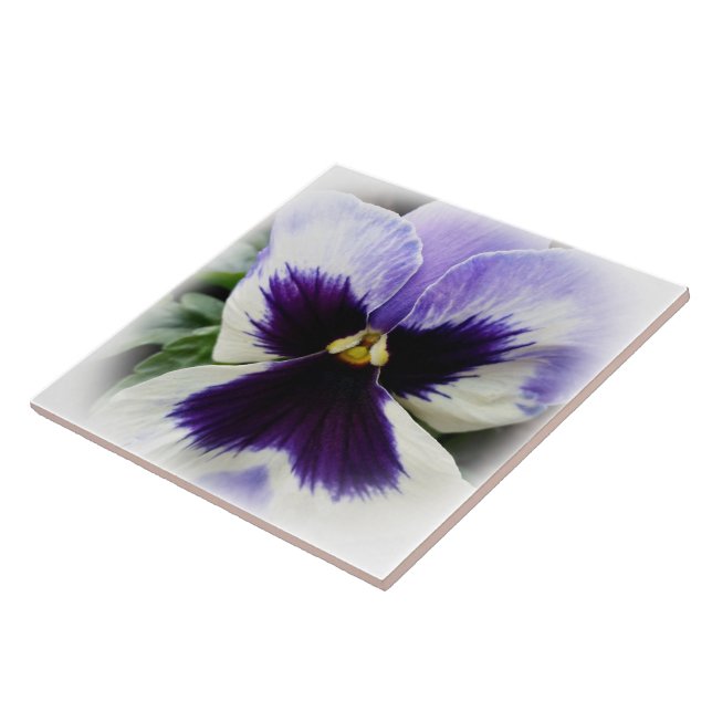 deep purple on white pansy tile (Side)