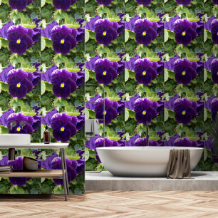 Deep Purple Pansies Growing On A Bush, Wallpaper