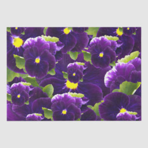 Deep Purple Pansy Bushes, Tissue Paper