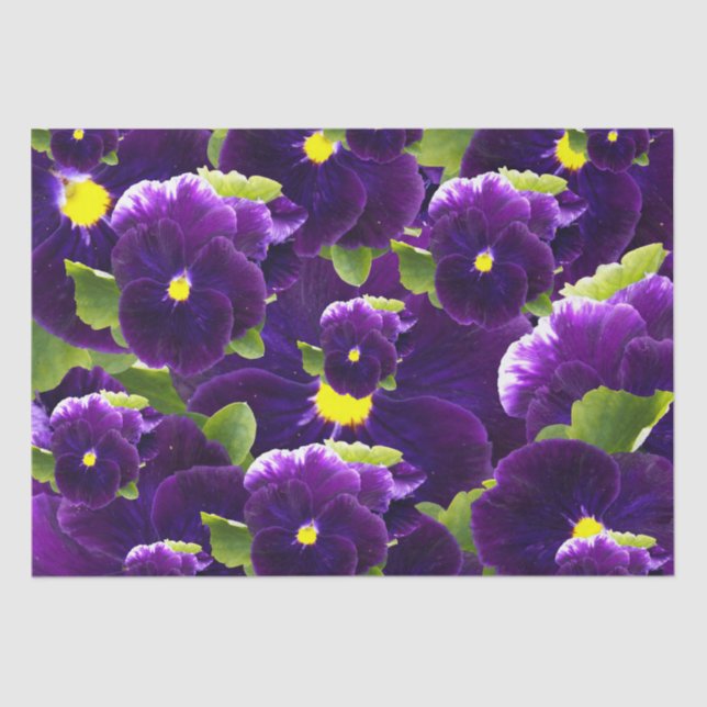 Deep Purple Pansy Bushes, Tissue Paper (Front)
