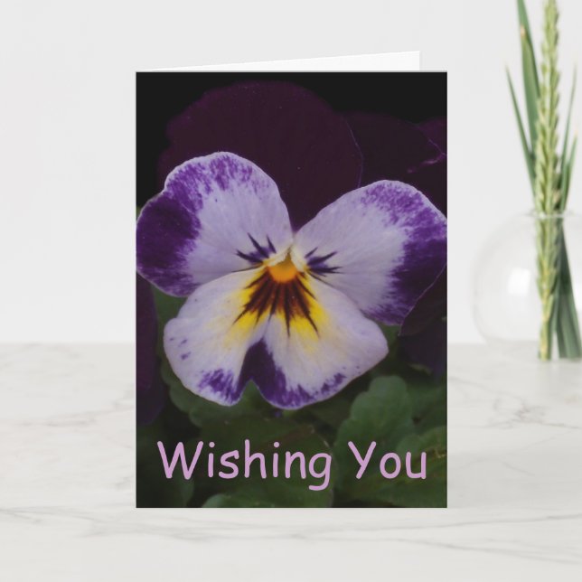 Deep Purple White Pansies Card (Front)