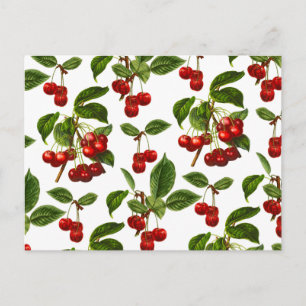 Deep Red Botanical Cherry Print Postcard