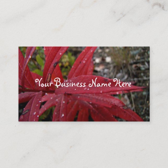 Deep Red Leaves Business Card (Front)