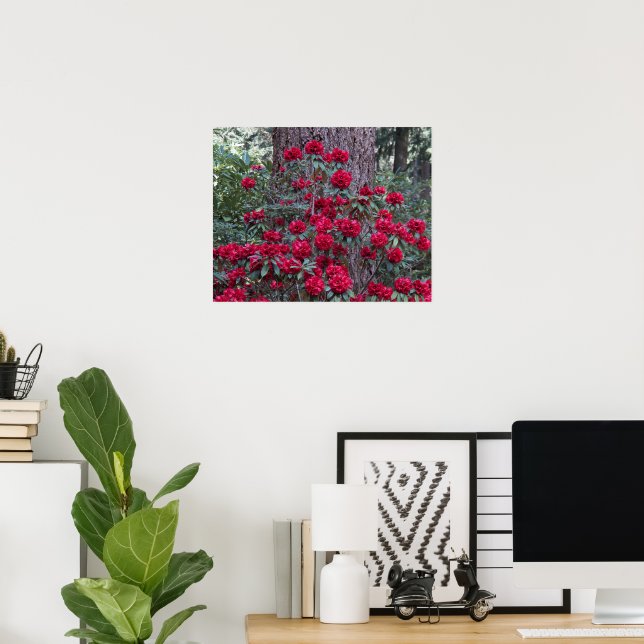 Deep Red Rhododendrons Floral Poster (Home Office)