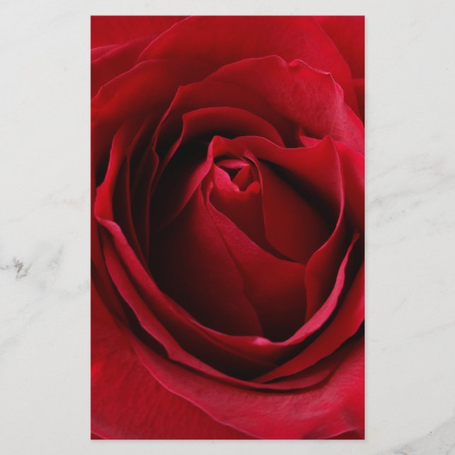 deep red rose (Front)