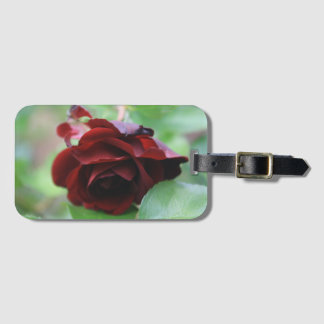 Deep Red Rose Luggage Tag
