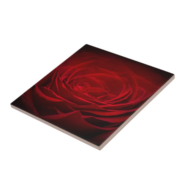 Deep Red Rose Tile (Side)