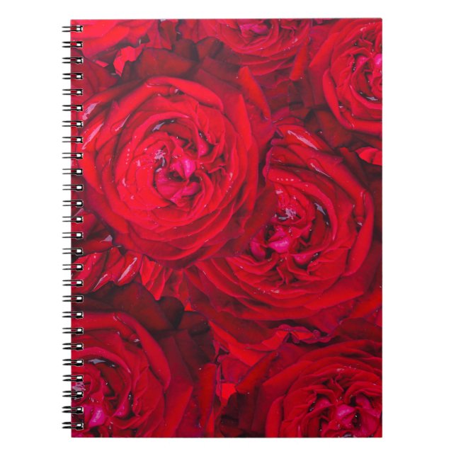 Deep red roses pattern  notebook (Front)