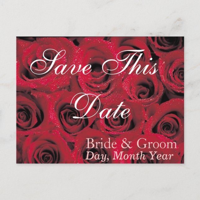 Deep Red Roses Save the Date Postcard (1) (Front)
