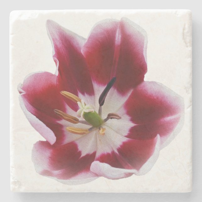 Deep red tulip stone coaster (Front)