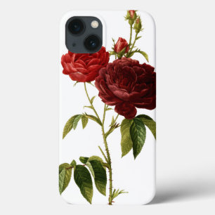 Deep red vintage roses painting iPhone 13 case