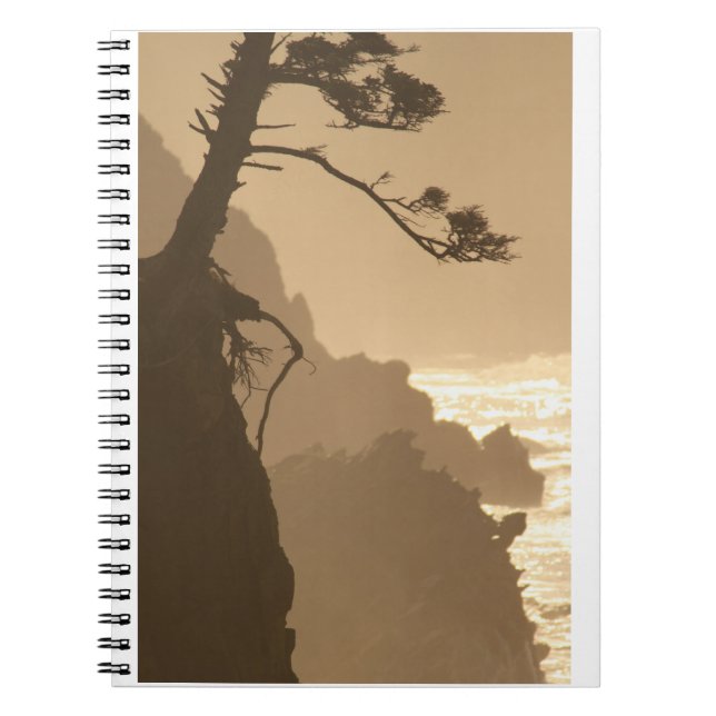 Deep Roots Spiral Notebook (Front)