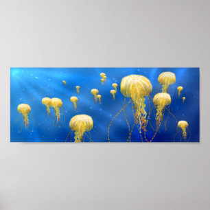 Deep Sea Treasures Poster