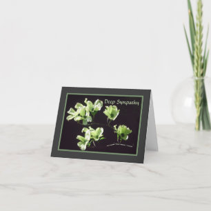 Deep Sympathy Card Dogwood Blooms