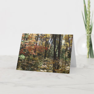 Deep Woods Beauty Card