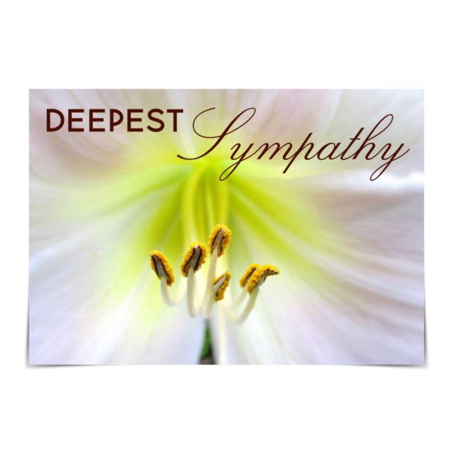 "Deepest Sympathy" Oma's White Lily card (Creator Uploaded)