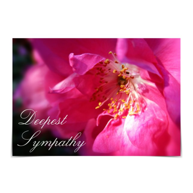 "Deepest Sympathy" Pink Rugosa Rose Card (Creator Uploaded)